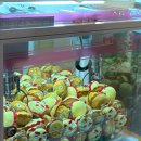 드래곤게임장 이미지