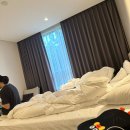 이레올래 | 제주도의 푸른밤