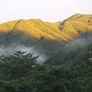 우둠지찜질방 이미지