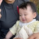 피자스쿨곡반정점 이미지