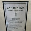 멀리 제주 | 아이와 함께 제주 에코랜드 호텔 투숙 후기