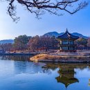 향원정 - 부여군 | 향원정