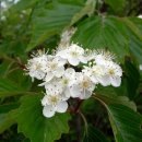 지리산친구들 이미지