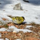 포천머리방 이미지