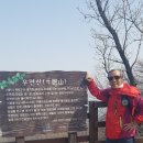 소망의원 이미지