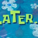 취미 타로 이미지