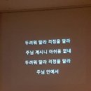 (주)비오니 Daum카페
