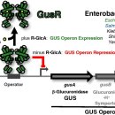효능평가센터 이미지
