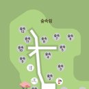 숲속쉼 | 김포 범바위캠핑정원(범바위포레스트) 숲속3 후기