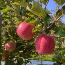 챌린지 댄스 댄스 이미지