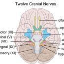 대학병원안경 이미지