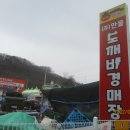 용인 만물도깨비경매장 나들이 이미지