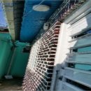 중앙동229 이미지