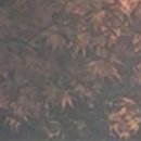 위드치과보철과의원 이미지