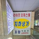 샌디샐리 이미지