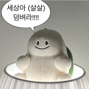 그레이스하우스 이미지