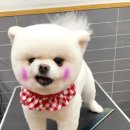 리트그룸 이미지