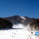 휘닉스 파크 이미지