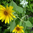 해바라기소아청소년과의원 이미지