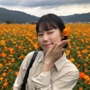 주-001-군청앞4(회) | 배도 채우고 마음도 채운 10월 일기