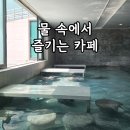 오색탕 | 제천 포레스트 리솜 해브나인 스파 내 카페 내돈내산 후기 아이 음료도 있음