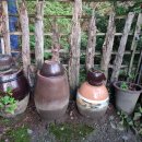 산속에아침 이미지