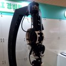 발달장애인을 위한 바르게 걷기 | 서울 AI 페스티벌 후기