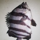 화성락실내바다낚시터 이미지