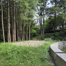 대상포진 주사 맞았어요(25.7.31./2759) 이미지