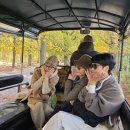 마차타고숼부른정원 이미지