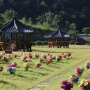 의성군시설관리사업소 로컬세계