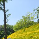 영화어르신의집 이미지