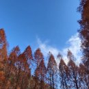 장태산자연휴양림 캠핑장 이미지