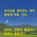 오룡골 이미지
