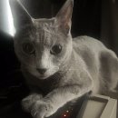 서울논현초등학교 이미지