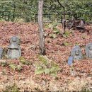 일본 나라에서 찾아간 마애불 - 春日山石窟仏 이미지