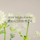 하나님의 교회 대학생봉사단, 인권의날 캠페인 이미지