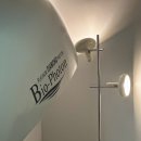 신진팜 | [예신관리] 단기간 다이어트 운동 효과 올리기, 인피티 바이오포톤