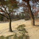 종로-현장-종로-세-185 | 창경궁, 1986년 복원된 조선의 동궐( 東闕 )