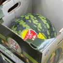 청운농협하나로마트 네이버블로그