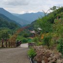 한옥펜션 심유재 이미지