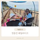 5살 아이와 정동진 레일바이크 4인승 탑승 후기, 강원도 여행지 추천