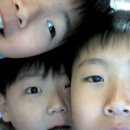 호랑PC 이미지