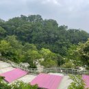 강화 버팔로 캠팜 티스토리