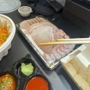 수내어촌 | 분당 횟집 추천 | 수내동 숙성회 맛집 수내어촌숙성회 포장 후기