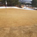 양평TPC GC 이미지