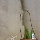 박달꽃집