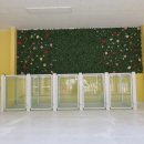 베베 애견유치원 이미지