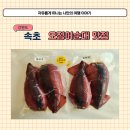 미라네집 이미지