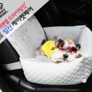 퍼피엔젤 이미지